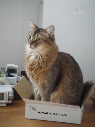 2011050800.jpg
