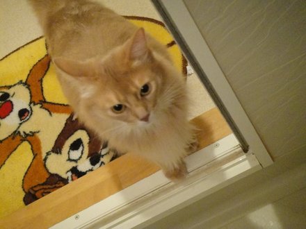 2011051100.jpg