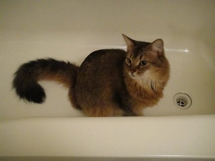 2011051103.jpg