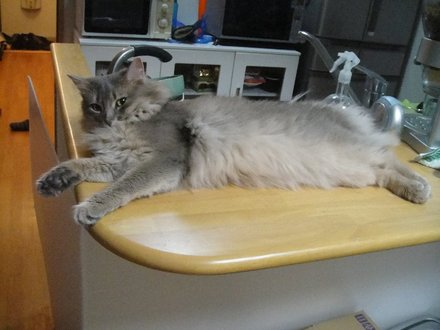 2011051202.jpg