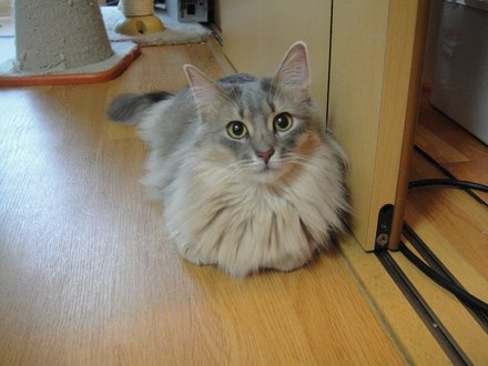 2011051600.jpg
