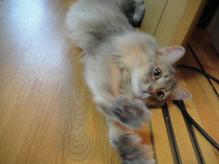 2011051601.jpg