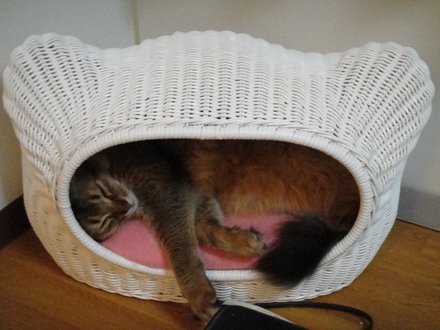 2011052000.jpg