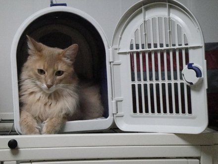 2011052001.jpg