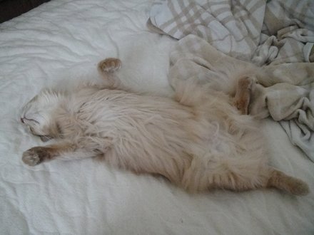 2011052100.jpg