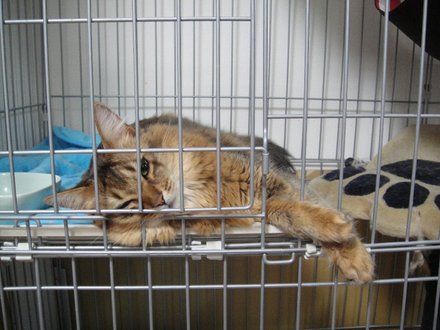 2011052400.jpg