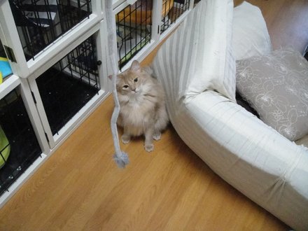 2011052900.jpg