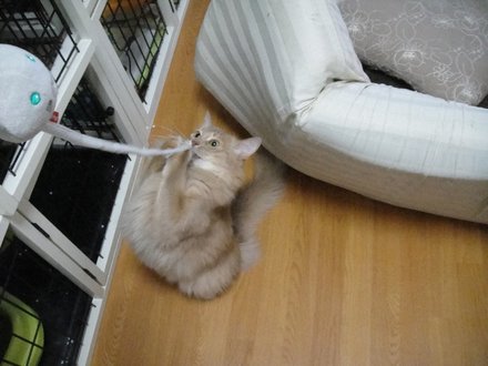 2011052901.jpg