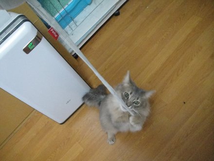 2011052903.jpg