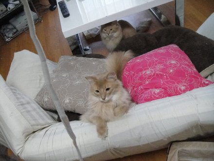 2011052904.jpg