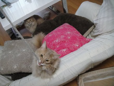 2011052905.jpg