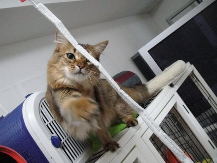 2011052906.jpg
