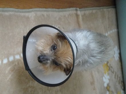2011053100.jpg