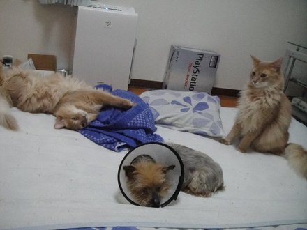 2011053101.jpg