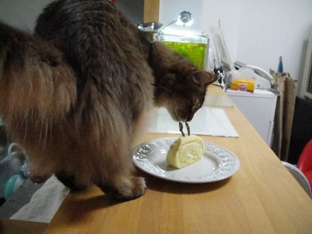 2011060100.jpg
