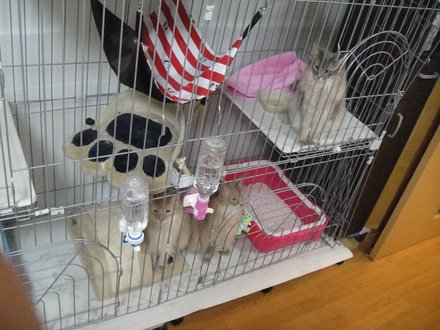 2011060102.jpg