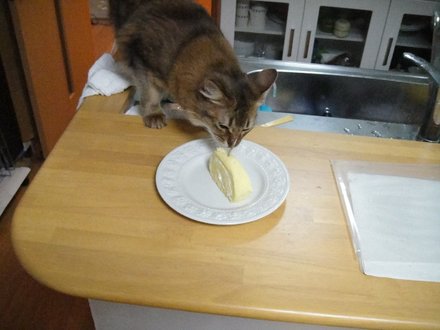 2011060103.jpg