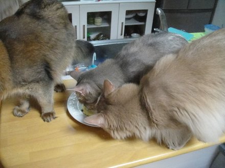 2011060104.jpg