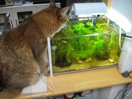 2011060600.jpg