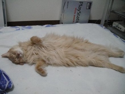 2011061201.jpg