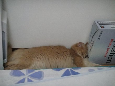 2011061300.jpg