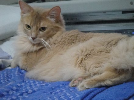 2011061400.jpg