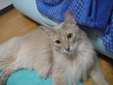 2011061401.jpg
