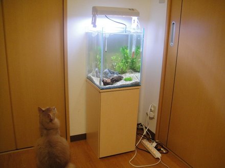 2011061600.jpg