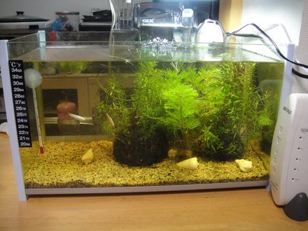 2011061601.jpg