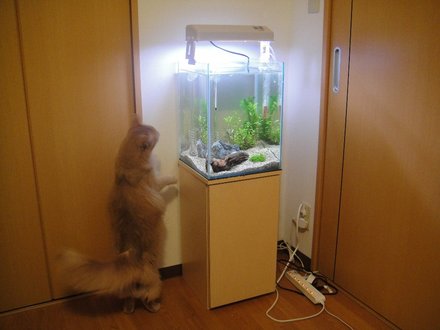 2011061800.jpg