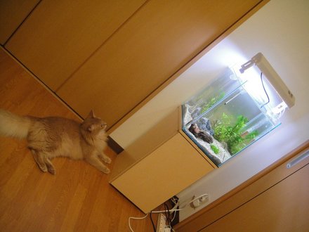 2011061801.jpg