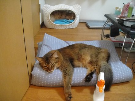 2011061900.jpg