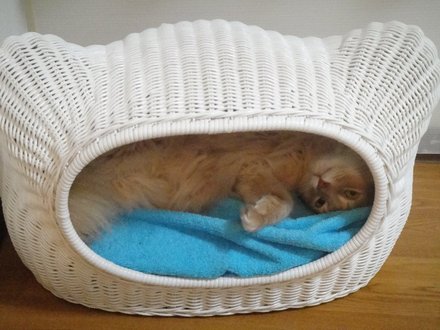 2011061901.jpg