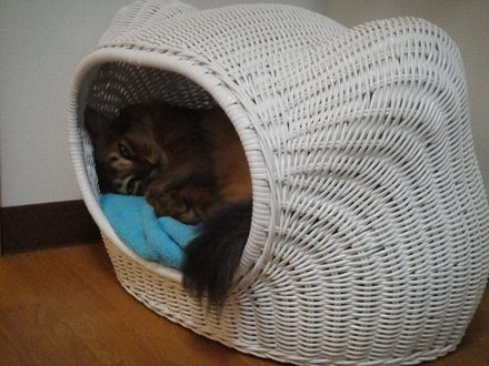 2011061902.jpg