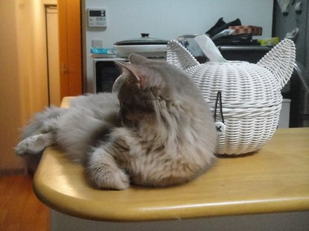 2011062000.jpg