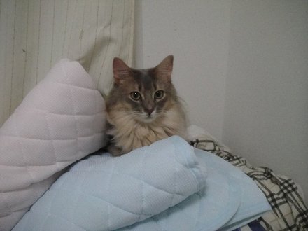 2011062001.jpg