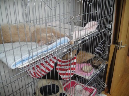 2011062100.jpg
