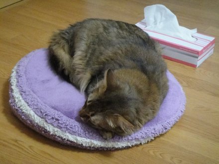 2011062200.jpg