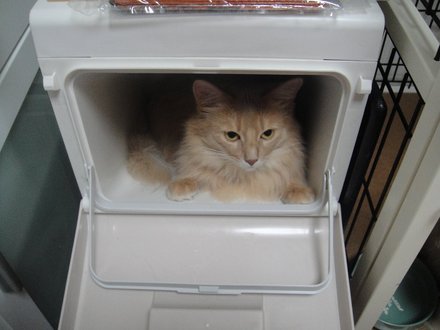 2011062300.jpg
