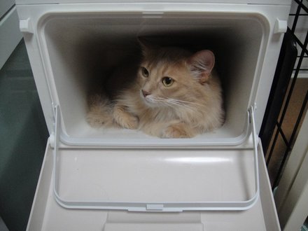 2011062301.jpg