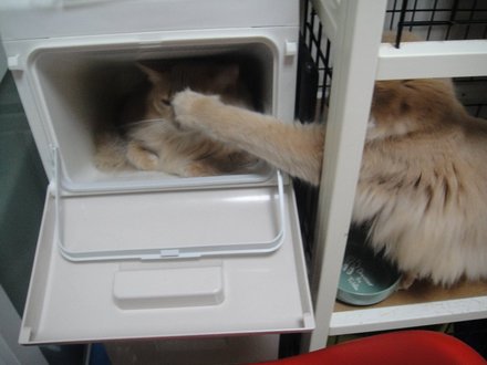 2011062302.jpg