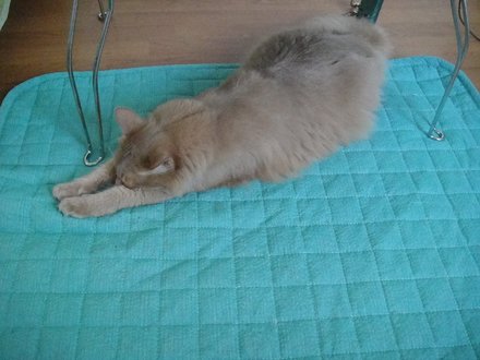 2011062400.jpg