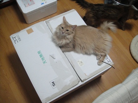 2011062700.jpg