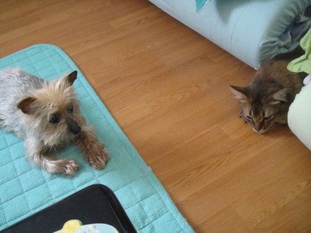 2011062800.jpg