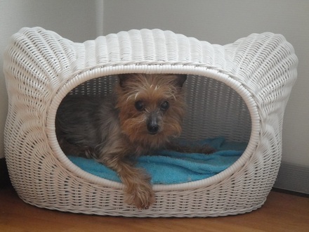 2011062801.jpg
