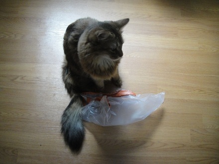 2011062900.jpg