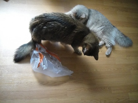 2011062901.jpg