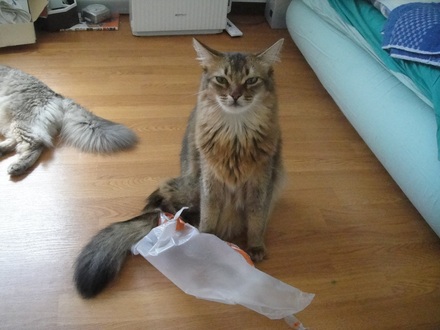 2011062902.jpg
