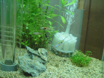 2011070200.jpg