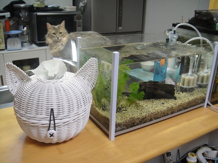 2011070202.jpg
